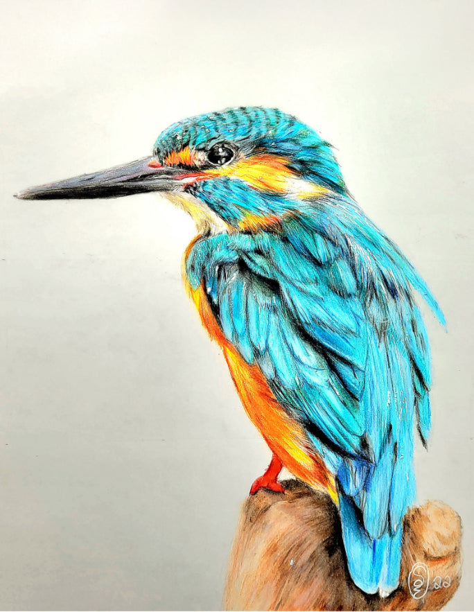 Stephen Evanock Fine Arts